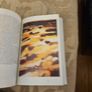 Facts About Irish.  Published By The Department Of Foreign Affairs.  Paperback In Good Condition. See Photos For Same. Image 8