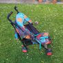'Cosato' Buggy Image 5