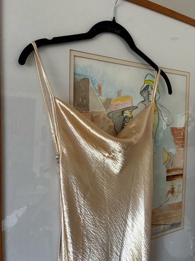 Rat and boa stunning gold dress