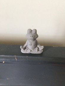 frogs