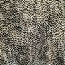 Leopard Print Dress Image 5