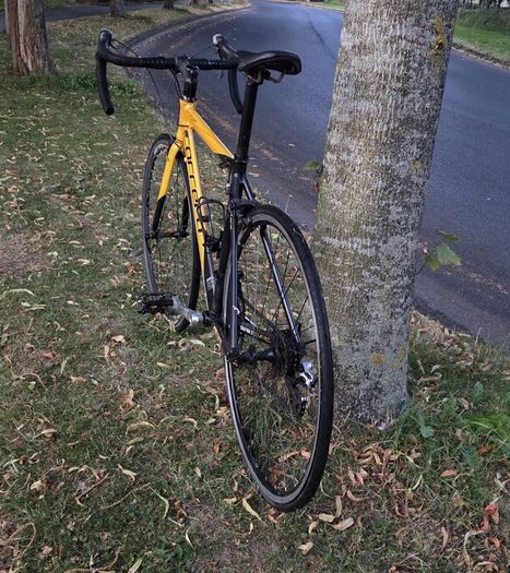 Carrera bike