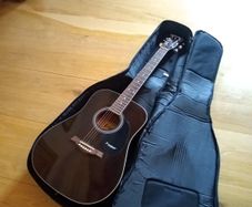 Dreadnought Acoustic Guitar and Padded Gigbag