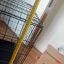 Large dog crate Image 4