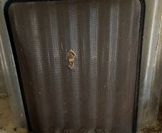 Fire Screen/Guard