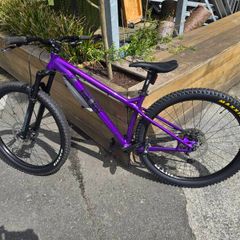 Ragley Big Al 2.0 29" Hardtail MTD - Fresh Service & New Tyres