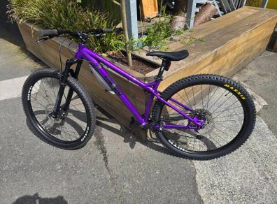 Ragley Big Al 2.0 29" Hardtail MTD - Fresh Service & New Tyres