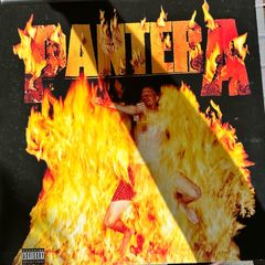 Pantera Reinventing The Steel 2012 official release in nm condition