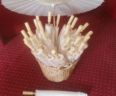 wedding sun shades