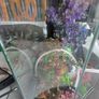 Fish tank Image 2