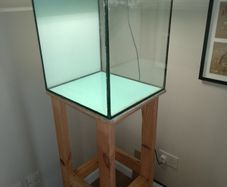 Fish tank with stand and light