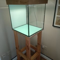 Fish tank with stand and light