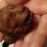 Vintage Hand Carved Wooden Pipe Image 8