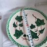 Vintage Wast German Ivy Hanging Plate. Image 2
