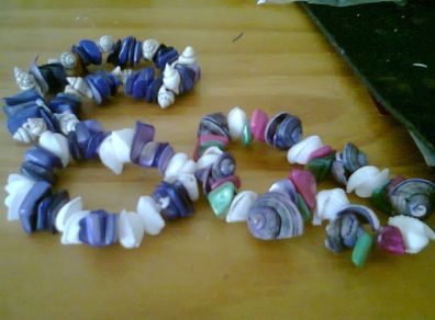 seashell sea snail bracelet
