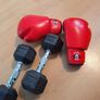 12oz Fight Rite Boxing Gloves Image 2
