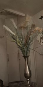 Vase and pampas