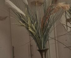 Vase and pampas