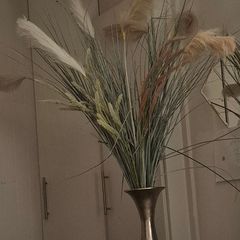Vase and pampas