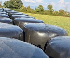 Haylage