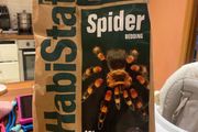 Habistat spider Bedding