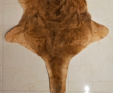 Kangaroo Pelt