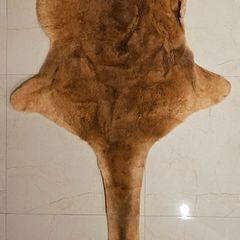Kangaroo Pelt