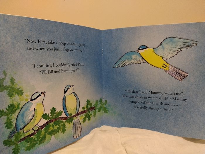 The Adventures Of Pete And Tweet Story Book