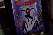 Spider-man ! Into The Spider-Verse ! DVD ! 2018 ! The Best Animated Movie of 2018 ! Marvel !