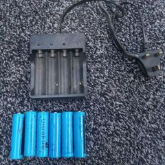18650 batteries and plug charger