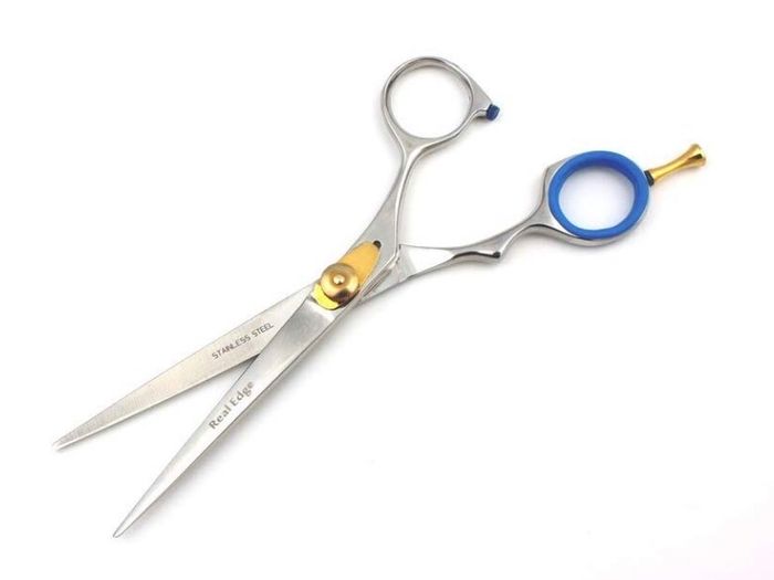 Professional Salon Hairdressing Hair Cutting Razor Scissors With Black Case (15.5cm, Silver)