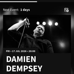 Damien Dempsey Iveagh Gardens Ticket
