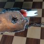 Cast Iron Wood Pecker Door Knocker Image 3