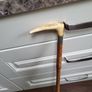 Walking stick Image 4