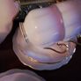 Royal Albert Rainbow Tea Set Image 7