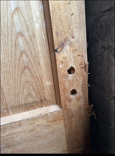 Wooden doors