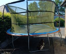 free trampoline