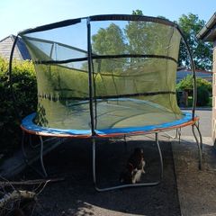 free trampoline