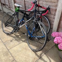 bikes