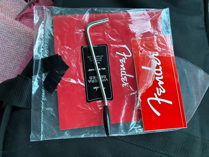 Fender Mustang Vintera