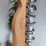 Fender Player Plus Nashville Image 2