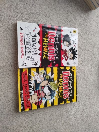 Diary of Dennis the Menace set of 2 books