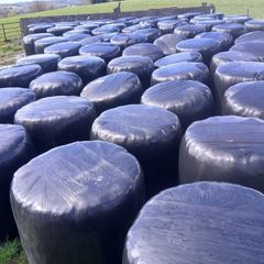Silage