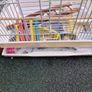 Bird cage and accessories. Image 4