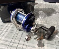 Sea Fishing reel