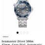 Omega Seamaster SMP 300 (210.30.42.20.06.001) Image 8