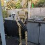Battle droid Image 7