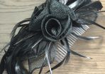 Brand New Hair Clip