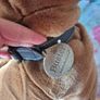 Large Teddy Image 2