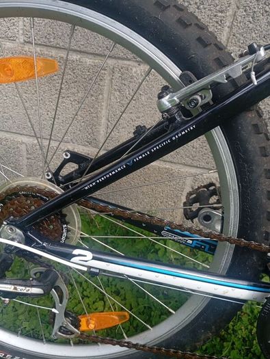 Ladies Felt bicycle MTB